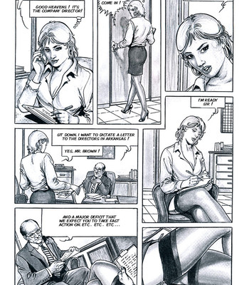 Wild Secretaries comic porn sex 26