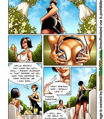 The Wedding Sex Comic sex 3