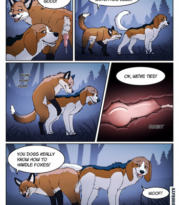 A Fox And A Dog comic porn sex 4