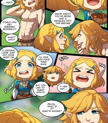 A Night With Zelda comic porn sex 3