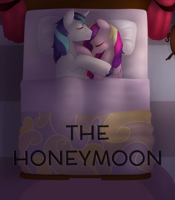 Porn Comics - The Honeymoon Sex Comic