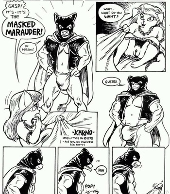 Porn Comics - The Masked Maurauder
