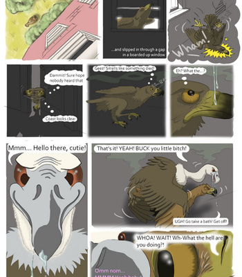Sawyer And The Vulture Love Nest comic porn sex 2