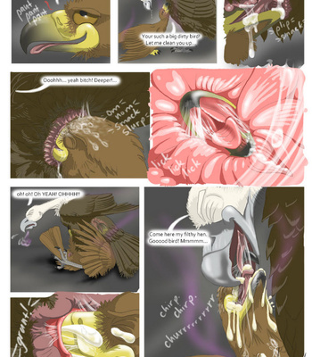 Sawyer And The Vulture Love Nest comic porn sex 8