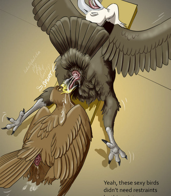 Sawyer And The Vulture Love Nest comic porn sex 13