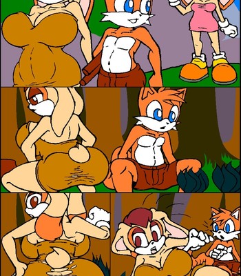Tails Mishap Paradice Sex Comic sex 4