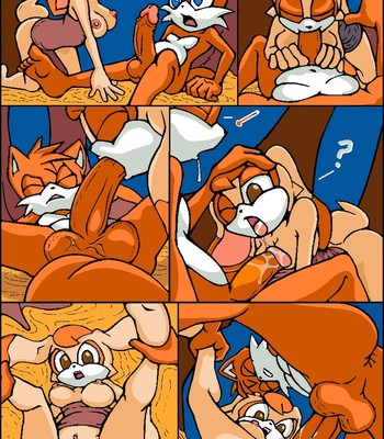 Tails Mishap Paradice Sex Comic sex 14