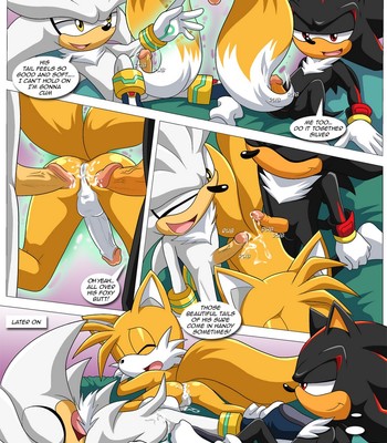 Shadow And Tails Sex Comic sex 11