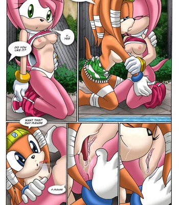 Sonic Project XXX 2 Sex Comic sex 16