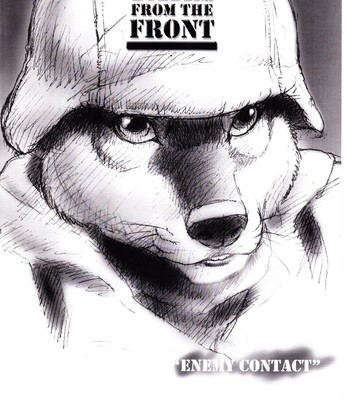Porn Comics - Tails From The Front