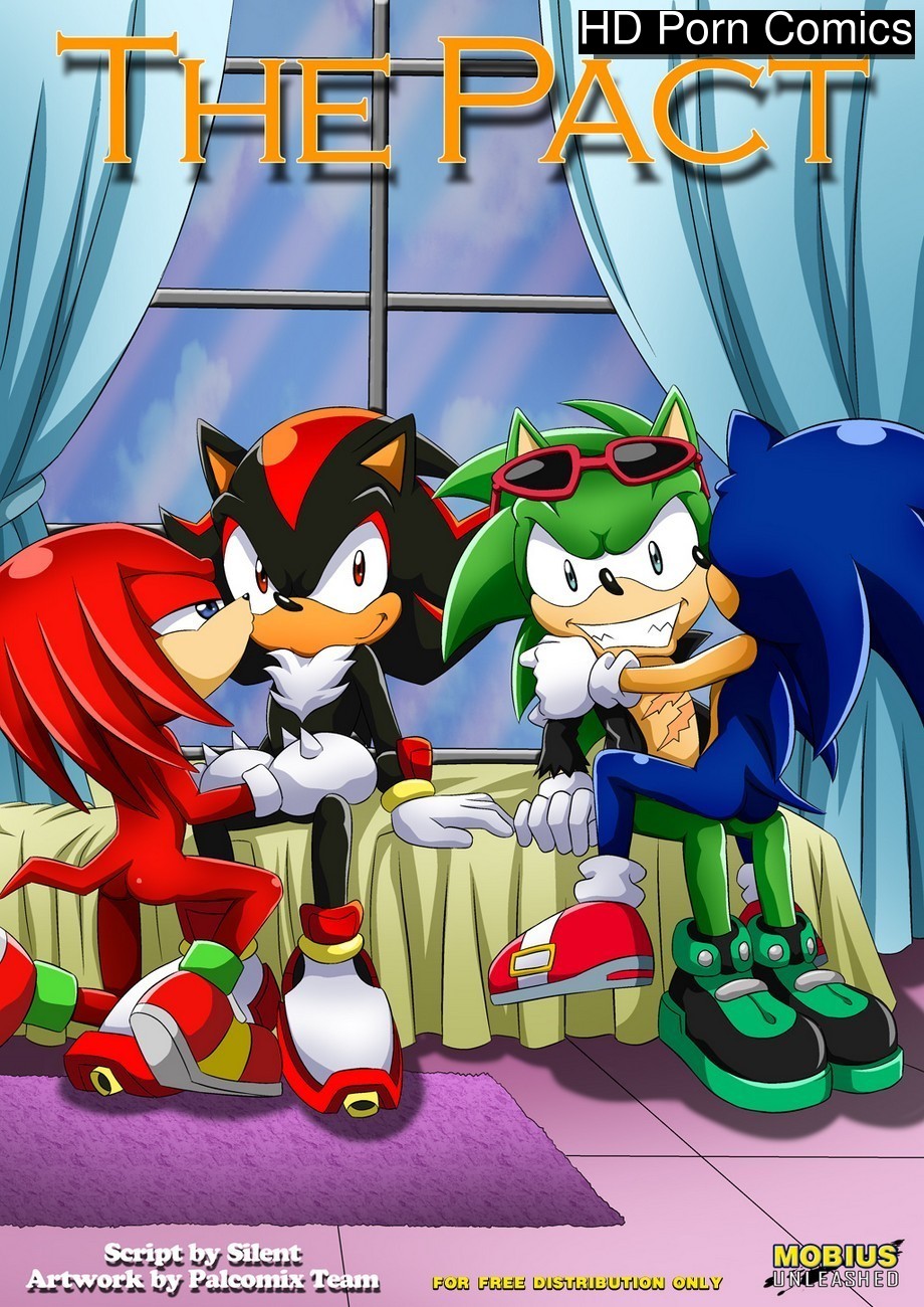 Sonic The Hedgehog Gay Porn - The Pact 1 Sex Comic - HD Porn Comics