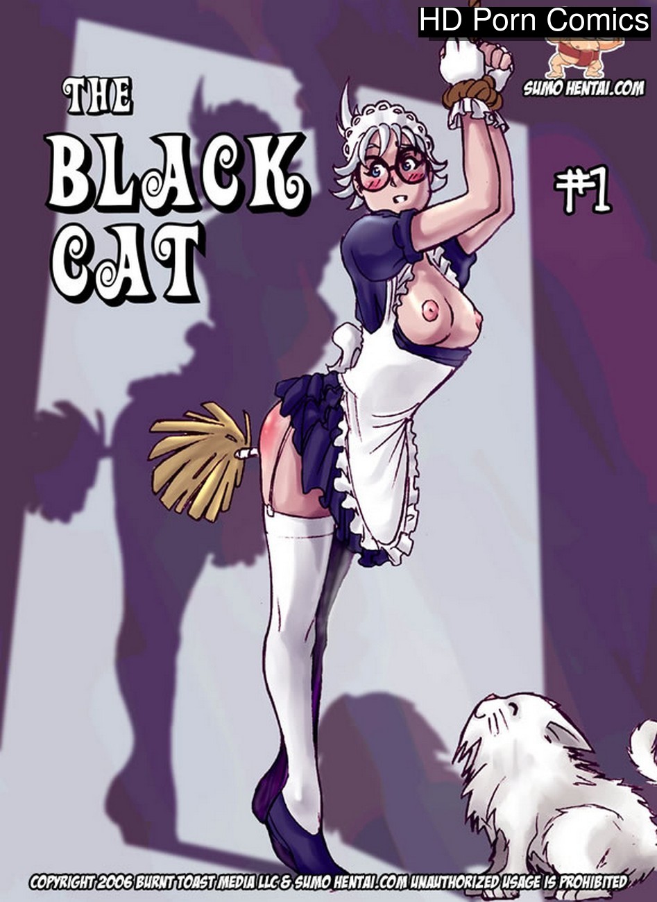 The Black Cat 1 Sex Comic HD Porn Comics