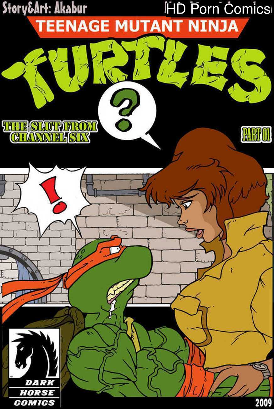 Adult Ninja Turtles Porn - The Slut From Channel Six 1 - Teenage Mutant Ninja Turtles Sex Comic | HD  Porn Comics