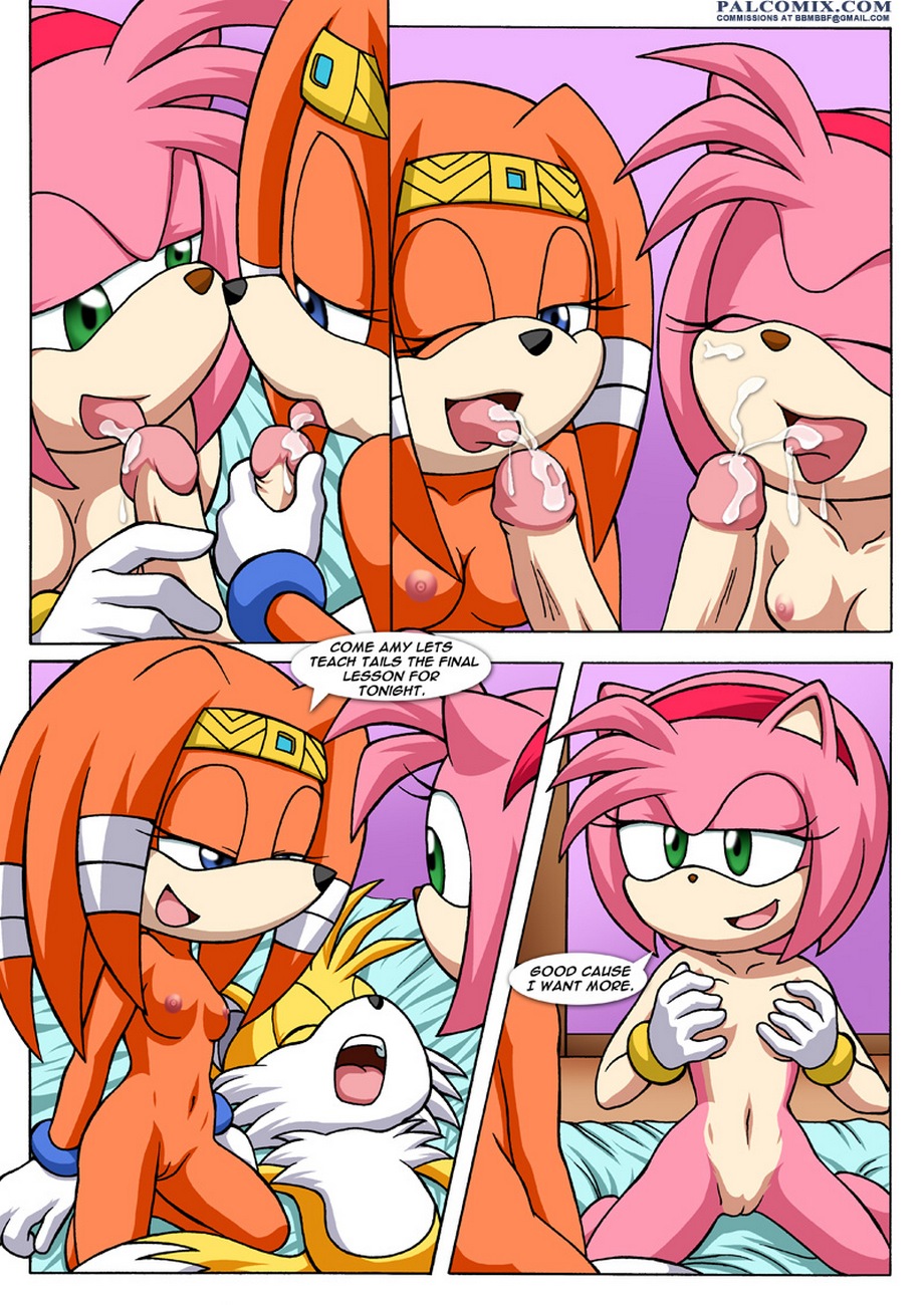 Sonic 3 Porn - Sonic Project XXX 3 Sex Comic - HD Porn Comics